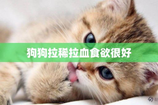 狗狗拉稀拉血食欲很好