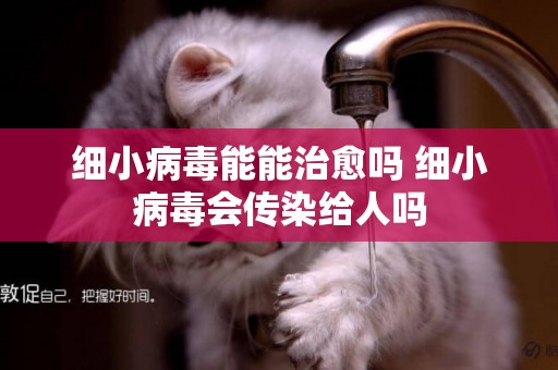 細小病毒能能治愈嗎 細小病毒會傳染給人嗎