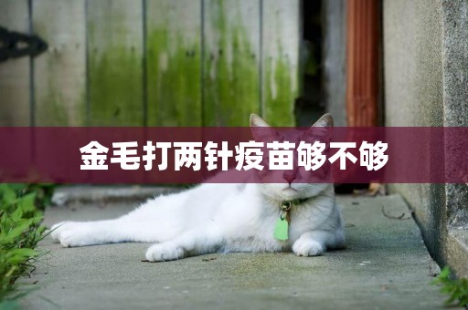 金毛打兩針疫苗夠不夠
