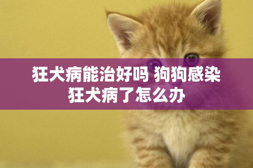 狂犬病能治好嗎 狗狗感染狂犬病了怎么辦