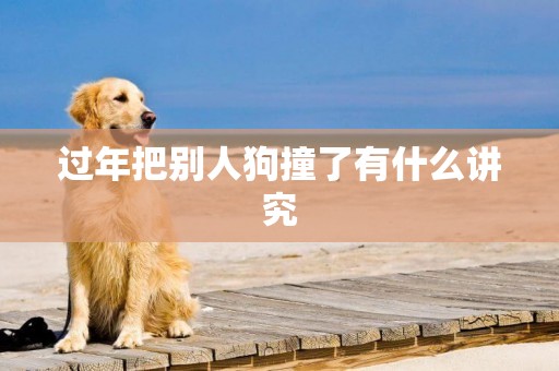 過年把別人狗撞了有什么講究