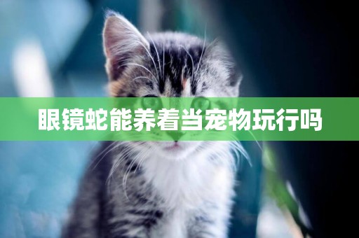 眼鏡蛇能養著當寵物玩行嗎