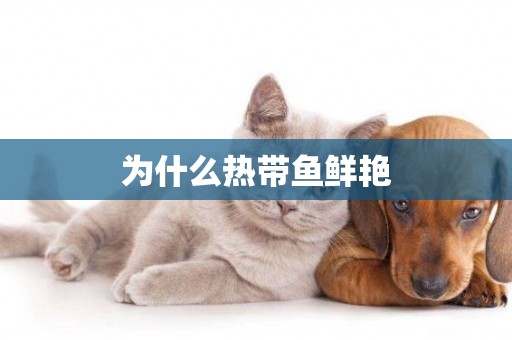為什么熱帶魚鮮艷