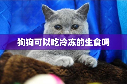 狗狗可以吃冷凍的生食嗎