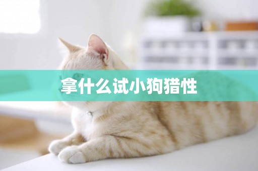 拿什么試小狗獵性
