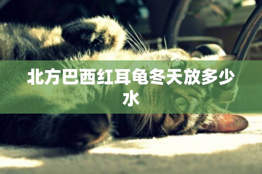 北方巴西紅耳龜冬天放多少水