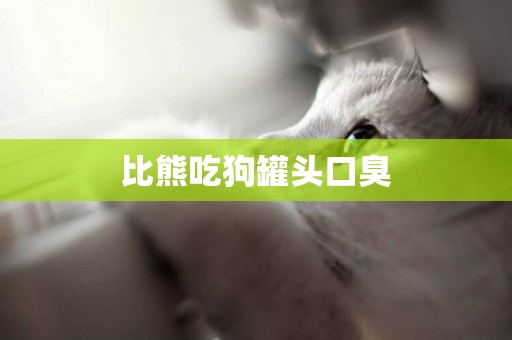 比熊吃狗罐頭口臭