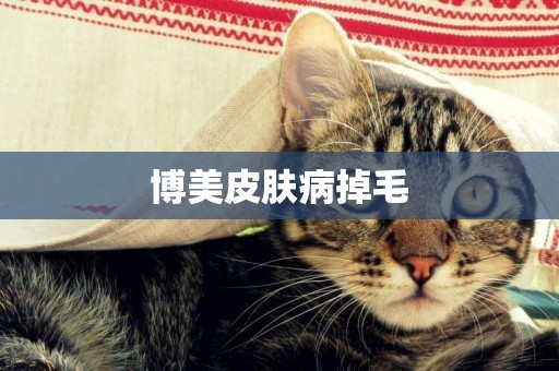 博美皮膚病掉毛