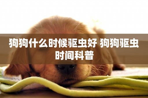 狗狗什么時候驅蟲好 狗狗驅蟲時間科普