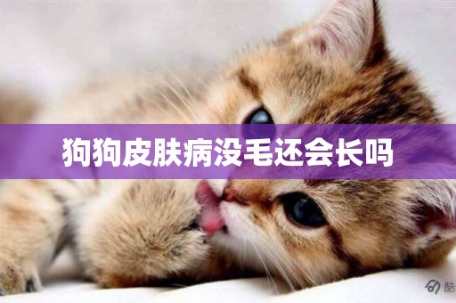狗狗皮膚病沒毛還會長嗎