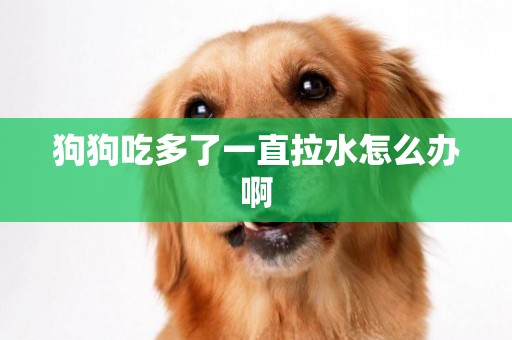 狗狗吃多了一直拉水怎么辦啊
