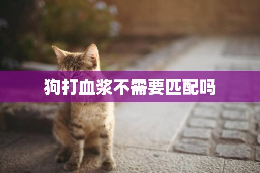 狗打血漿不需要匹配嗎