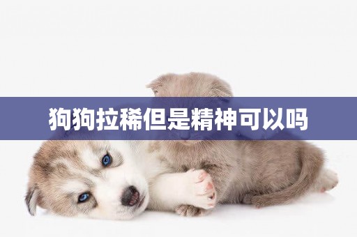 狗狗拉稀但是精神可以嗎