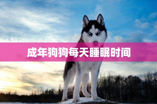 成年狗狗每天睡眠時間