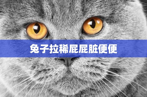 兔子拉稀屁屁臟便便