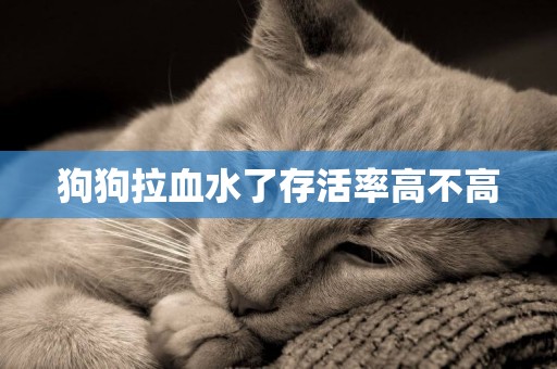 狗狗拉血水了存活率高不高