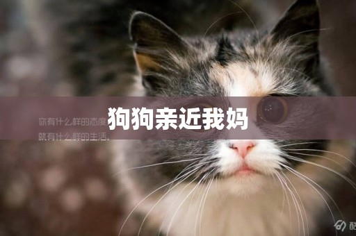 狗狗親近我媽