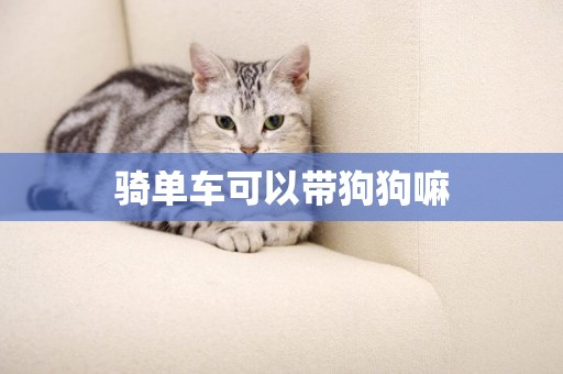 騎單車可以帶狗狗嘛