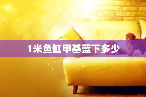 1米魚缸甲基藍下多少