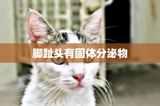 腳趾頭有固體分泌物