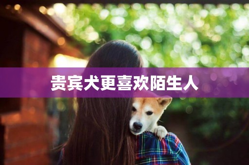 貴賓犬更喜歡陌生人