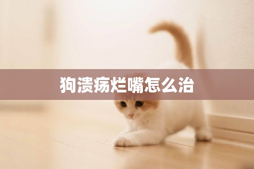 狗潰瘍爛嘴怎么治