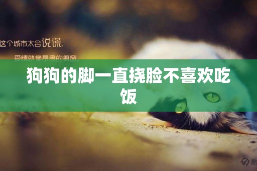狗狗的腳一直撓臉不喜歡吃飯