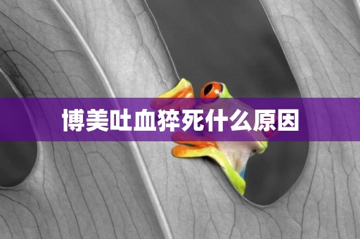 博美吐血猝死什么原因