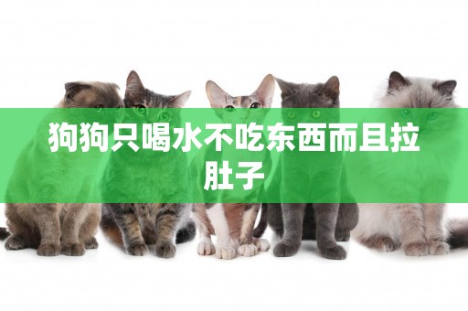 狗狗只喝水不吃東西而且拉肚子
