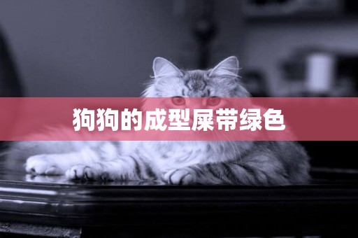 狗狗的成型屎帶綠色
