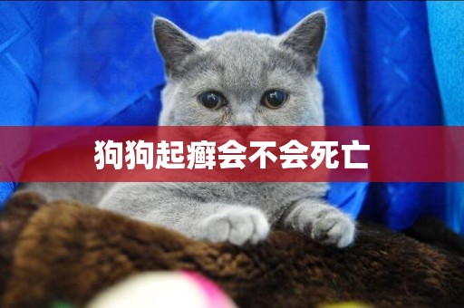 狗狗起癬會不會死亡