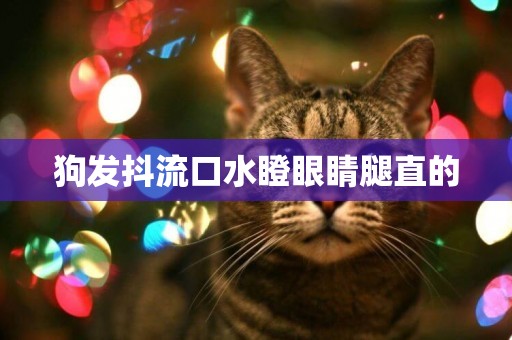 狗發抖流口水瞪眼睛腿直的