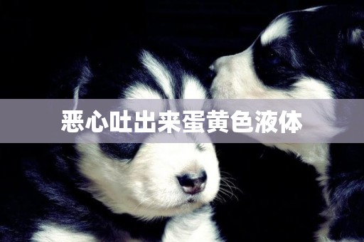惡心吐出來蛋黃色液體