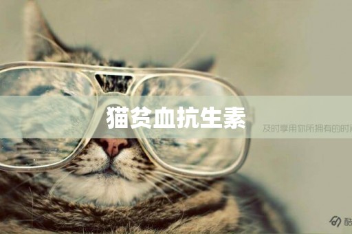 貓貧血抗生素