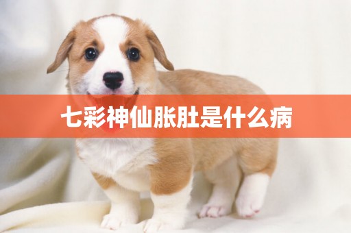 七彩神仙脹肚是什么病