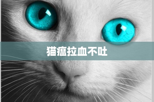 貓瘟拉血不吐