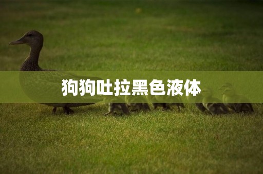 狗狗吐拉黑色液體