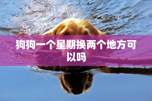 狗狗一個星期換兩個地方可以嗎