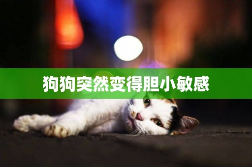 狗狗突然變得膽小敏感