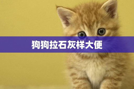 狗狗拉石灰樣大便