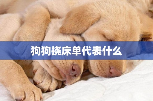 狗狗撓床單代表什么