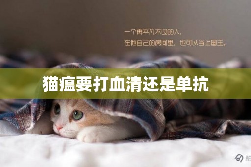 貓瘟要打血清還是單抗