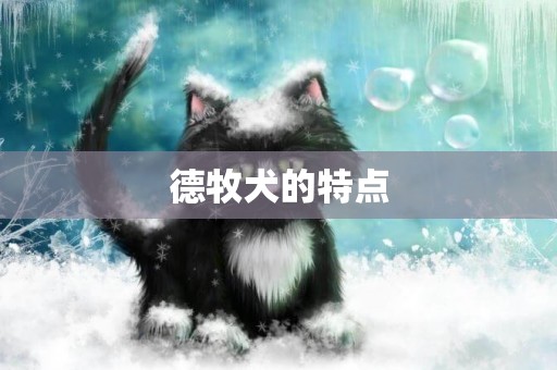 德牧犬的特點