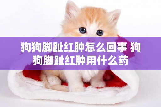 狗狗腳趾紅腫怎么回事 狗狗腳趾紅腫用什么藥