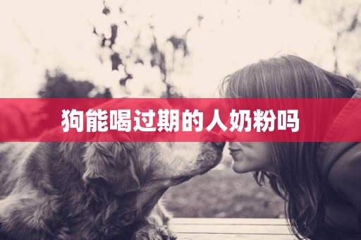 狗能喝過期的人奶粉嗎