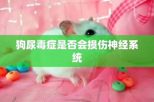 狗尿毒癥是否會損傷神經系統