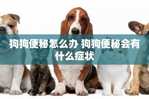 狗狗便秘怎么辦 狗狗便秘會有什么癥狀 狗狗便秘怎么辦 狗狗便秘會有什么癥狀