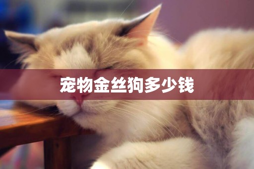 寵物金絲狗多少錢