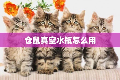 倉鼠真空水瓶怎么用