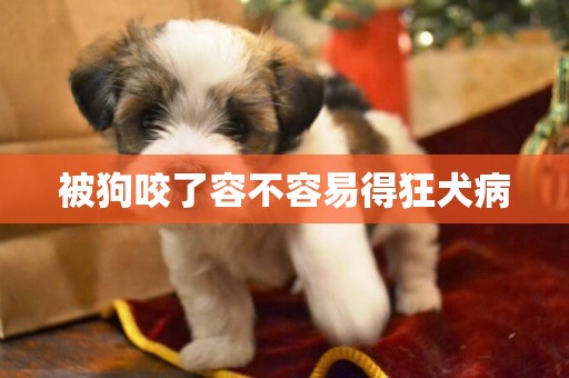 被狗咬了容不容易得狂犬病